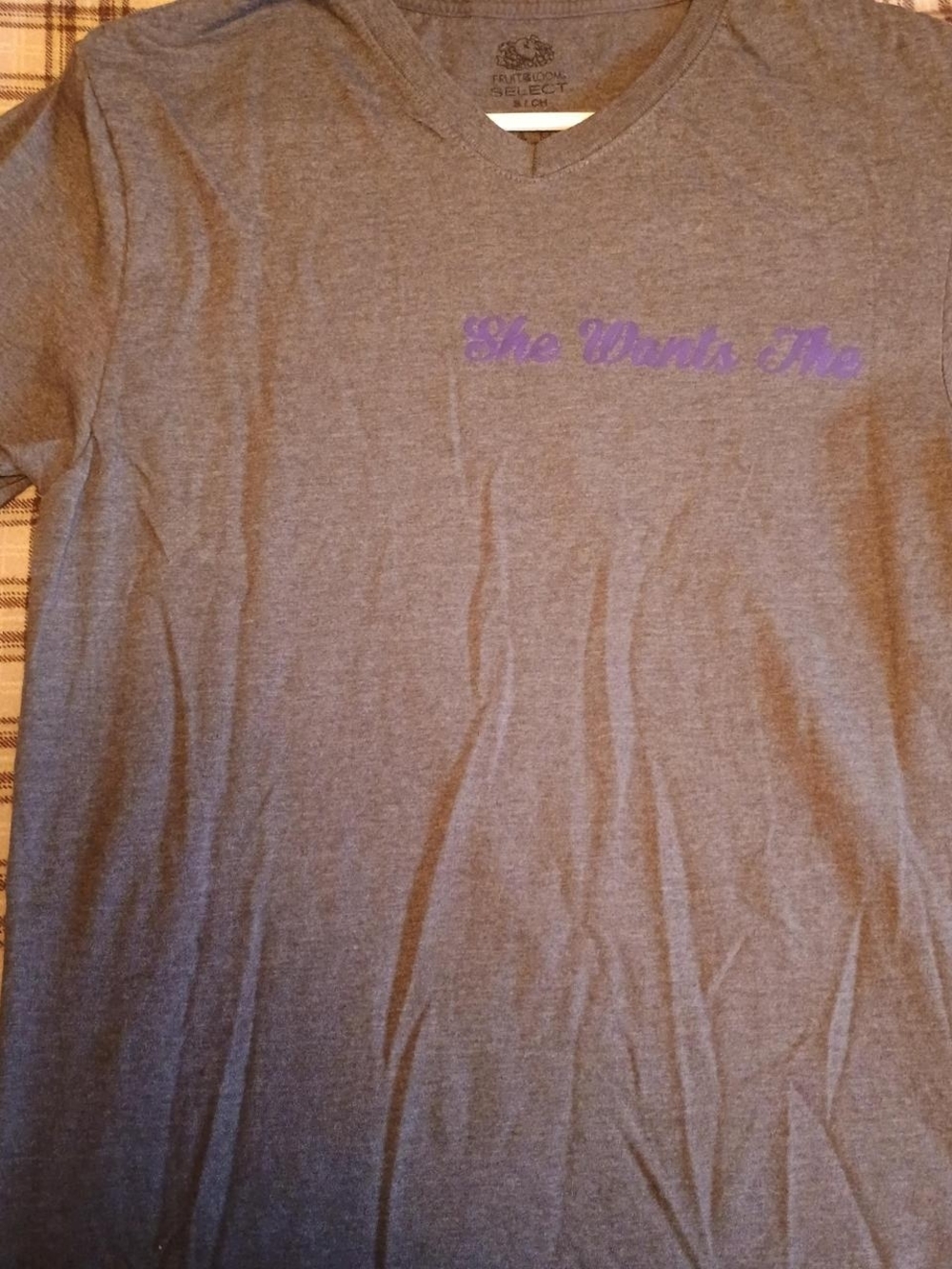 Fruit of the Loom Dark Gray V-Neck Tee with Black Logo